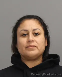 Mugshot of ROSARIO DELCARMEN VASQUEZ