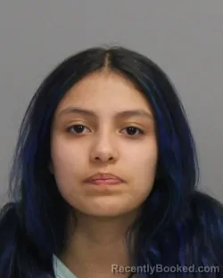 Mugshot of JULIA AVILES PRADO