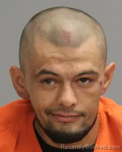 Mugshot of BRODIE LANE LOFTON