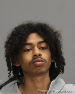 Mugshot of RAYMIE JEMOND FOLEY