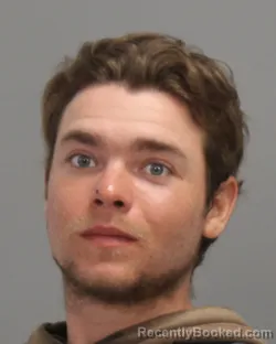 Mugshot of Nathan Joel Haag