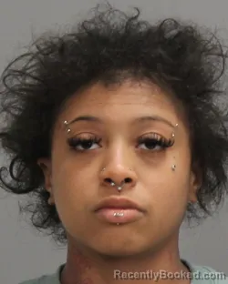 Mugshot of KELSIE RENAE BROOKS
