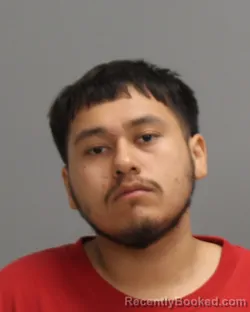 Mugshot of HUMBERTO VILLASENOR