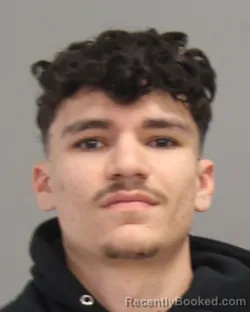 Mugshot of TRAVIS ROBERT JOHNSON