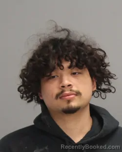 Mugshot of PARKER CASH URRUTIA