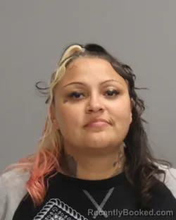 Mugshot of MARIA SALSTINA PRADO