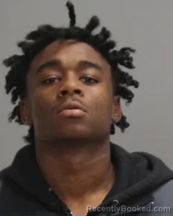 Mugshot of QWANELL MCMILLER