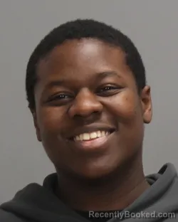 Booking photo from Brazos County, Texas