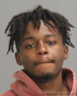 Mugshot of KEVAN OLAMIDE LOUWAT BITAYO