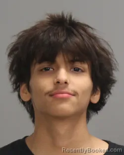 Mugshot of RORY DYLAN CAPELO