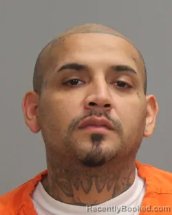 Mugshot of JOE RAMON LARA DURON