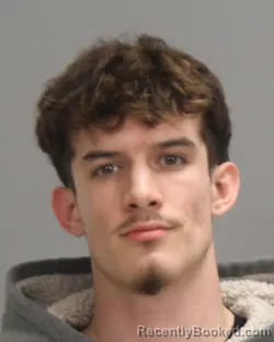 Mugshot of LEVI JAMES DICKEY GARRETT