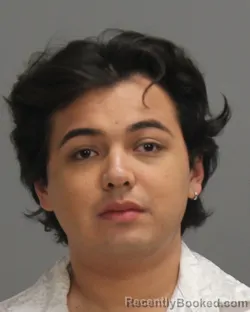 Booking photo from Brazos County, Texas
