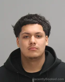 Mugshot of GABRIEL ELIAS ROMAN