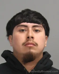 Mugshot of JORGE ADAN TREJO