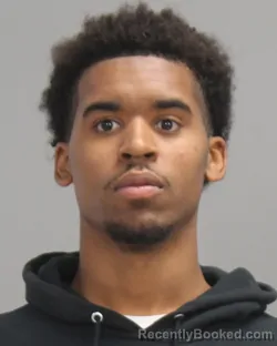 Mugshot of JACE ANDERSON