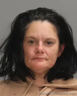 Mugshot of BRANDI NICOLE TREVINO