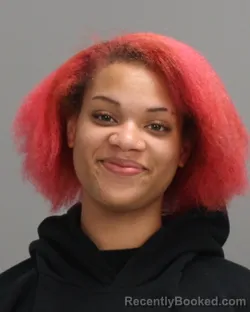 Mugshot of ALAINA ELIZABETH ROGERS