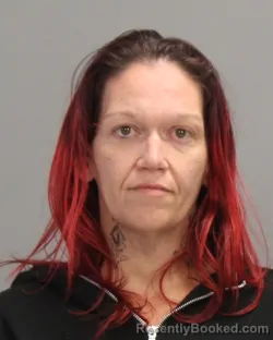 Mugshot of CHANNON ELLEN MAPLES