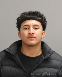 Mugshot of WILLIAM MICHAEL DELGADO