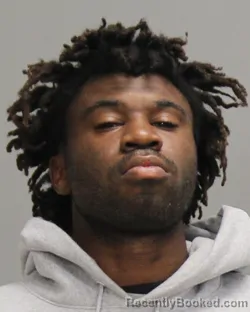 Mugshot of TERRELL JALEN WILLIAMS
