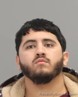 Mugshot of ROGELIO ANTONIO BAHENA
