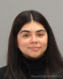 Booking photo from Brazos County, Texas