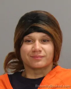 Booking photo from Brazos County, Texas