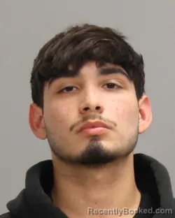 Mugshot of BRYAN LANDIN GONZALEZ