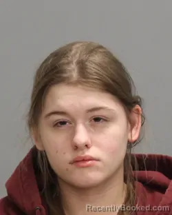 Booking photo from Brazos County, Texas