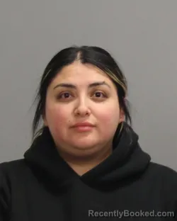Mugshot of GABRIELA ORTIZ