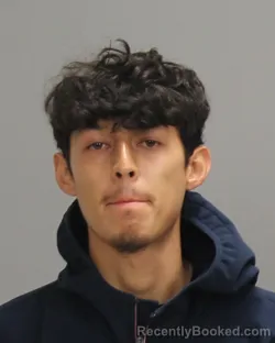 Mugshot of ISAAC ALFREDO SALINAS