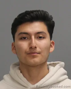 Mugshot of CESAR ALEJANDRO DURAN