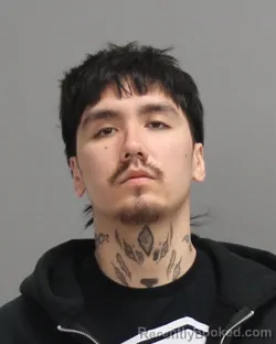 Mugshot of LEE HUYNH