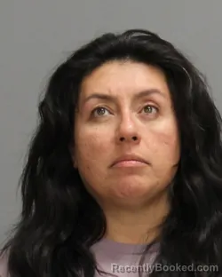 Mugshot of Amy Adriana Bernal