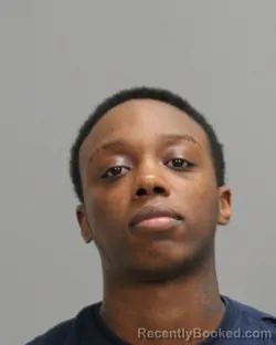 Mugshot of DESTINEE AMARRI-NECHOLE NUNN