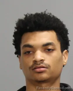 Mugshot of PERRY LEWIS MONROE