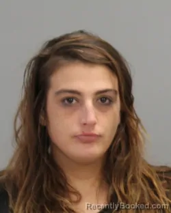 Mugshot of JORDAN LEE WILLIAMS