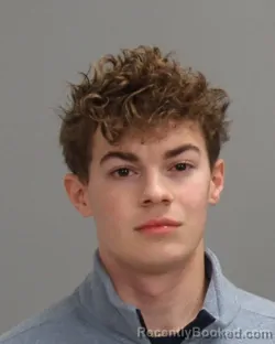 Mugshot of RICHARD BRYCE DAVIES