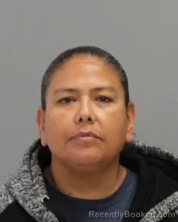 Mugshot of JAUNITA LYDIA YBARRA