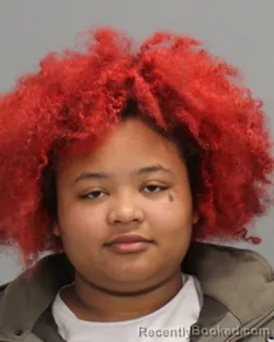 Mugshot of SKYLER LASHAY BUTLER