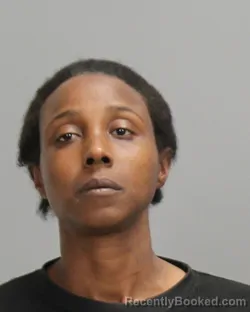 Mugshot of JAMISHA MONIQUE WILLIAMS