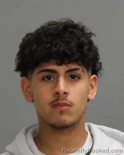 Mugshot of ERICK EMMANUEL TORRES