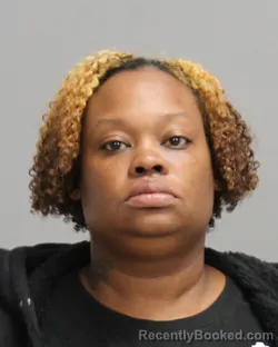 Mugshot of BRANDI NICHOLE ROBINSON