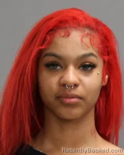 Mugshot of DAZIYAH NICOLE CASTILLEJA