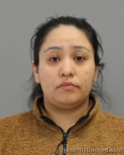 Mugshot of Adriana Pineda-Torres