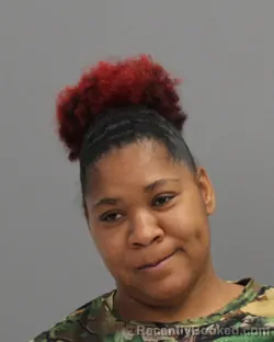 Mugshot of Ashley Renna McKinney