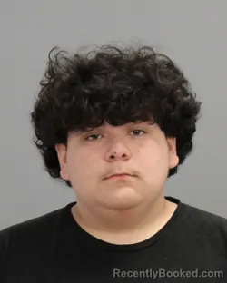 Mugshot of FERNANDO DAVILA STEELE