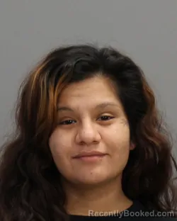 Mugshot of JULIETTE MARIE SOSA