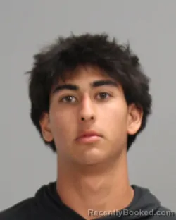 Mugshot of JOSEPH ANDREW DINGMAN